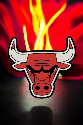 Chicago Bulls Dekoratif Aydınlatma Led Gece Lambası Çok Renkli