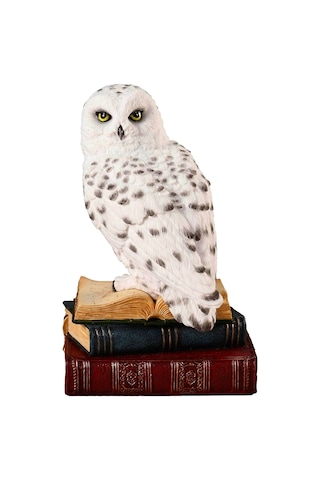 Kitap Üzerinde Beyaz Kar Baykuşu Hedwig Biblosu - Harry Potter