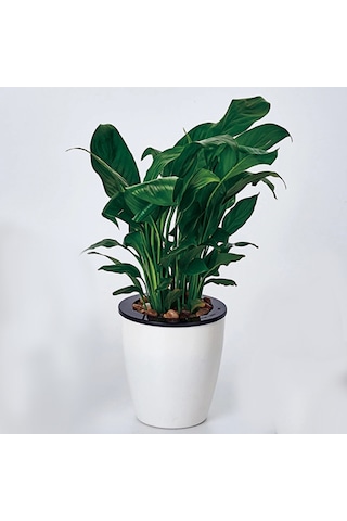 Tembel Saksılar Otomatik Su Emici Hidroponik Saksı Bitkileri Dairesel Reçine Plastik Saksılar Çift Katmanlı Tasarım Kendi Kendini Sulama Ekici, Çap: 11cm, Yükseklik: 10.3cm Beyaz