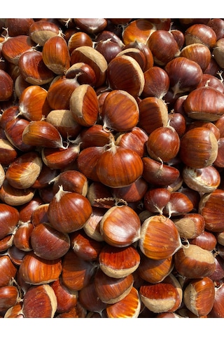 Tiresepeti Doğal Taze Kestane İri Boy Yeni Mahsül 1 KG