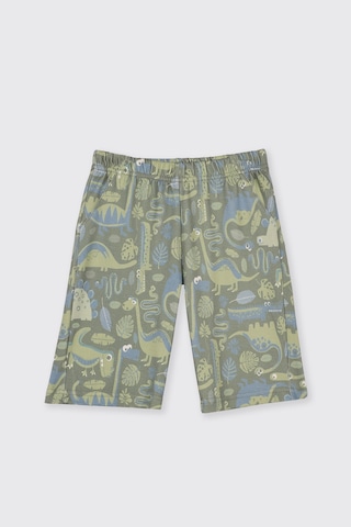 Panço Erkek Çocuk Baskı Detaylı Yeşil 3'lü Pijama Takım 2511BK39004