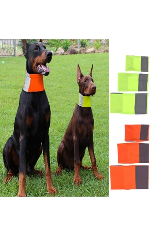 Homyl Pet Köpek Kedi Yansıtıcı Yaka Yavru Emniyet Boyun Askısı Sarı