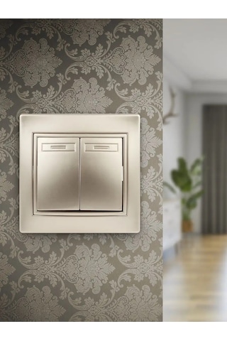 Intro Plano 250v Çift Anahtarlı Anahtar 123678426