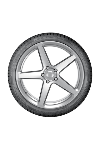 Nokian Tyres 205/55 R17 95V XL WR Snowproof P Kış Lastiği 2024