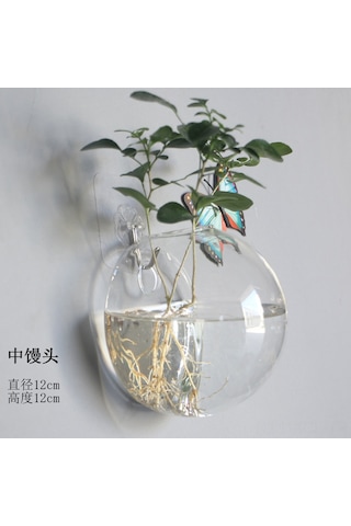 Konesam Yarı Dairesi Cam Duvar Vazosu - Isı Dayanıklı Borosilikat, Su Bitkileri İçin Modern Ev Dekorasyonu