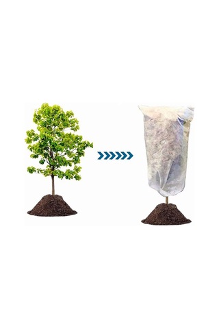 Donmaya Karşı Bitki Koruma, 23,6 X 31,5 Cm, Ambalaj