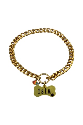 Caramelos İsimli Köpek Tasması- Köpek Zincir - Paslanmaz Çelik Köpek Kolyesi - Köpek Kolye - Orta Ve Büyük Irk Altın