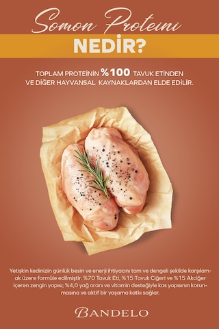 Tavuklu Yetişkin Kedi Yaş Maması - Jöle İçinde %100 Hayvansal Proteinli Düşük Yağlı, 85 Gr X 24 Adet