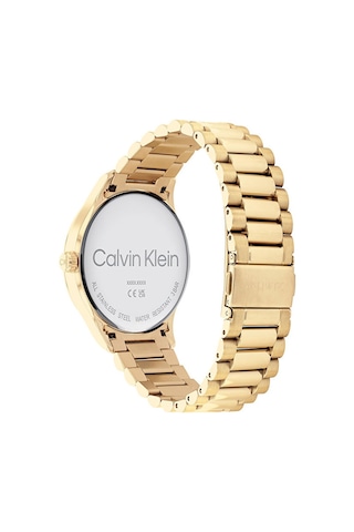 Calvin Klein CK25200038 Erkek Kol Saati