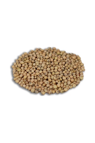 Yerli Soya Fasulyesi Tohumu 100 GR N117431