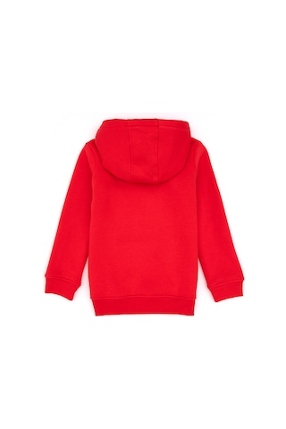 U.S. Polo Assn. Kız Çocuk Kırmızı Kapüşonlu Şardonlu Basic Sweatshirt 50314311-VR030