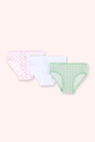 Panço Kız Çocuk Çiçek Desenli 3'lü Slip Seti Renkli
