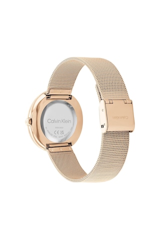 25200013 Calvin Klein Kadın Kol Saati