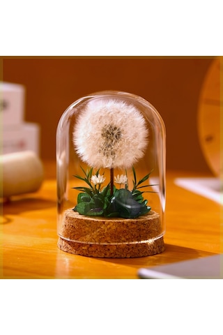 Mantar Tabanlı Sonsuz Karahindiba Cam Kubbe Süsü Yeşil