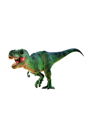 Natgeo Dino Kazı Kiti