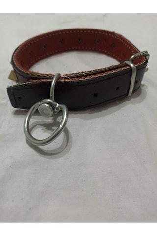 Büyük Irk Süslü Deri Çiviliel Işlemeli Köpek Tasması
