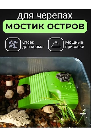 Only Hıts Kaplumbağa Köprüsü Kaplumbağalar İçin Köprü Kaplumbağa Şamandırası 244861504