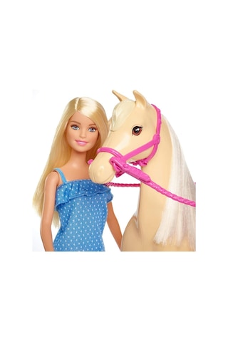 Mattel Barbie ve Güzel Atı Oyun Seti FXH13