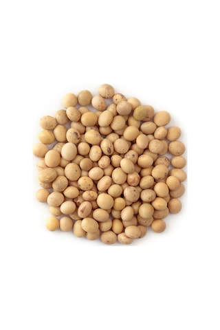 Soya Fasulyesi 1 KG Soya Fasulyesi 1 KG