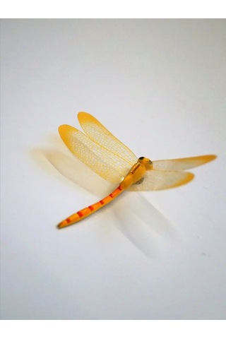 Luce St Buzdolabı Dekoru İçin 8 Parça 8.5 Cm Yusufçuk Mıknatısı Seti. 153978399