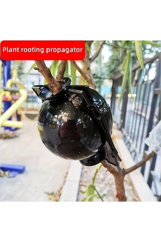 Willowhaven 9/10 Yeniden Kullanılabilir Bitki Kök Kutusu, 10 Orta Siyah + 20 Bağ Kelepçesi