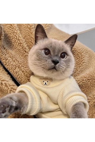 Evcil Hayvan Giysileri Sevimli Ayı Tasarımı 2 Bacaklı Yüksek Streç Kolay Giyilebilir Yumuşak Rahat Sıcak Kedi Kazak