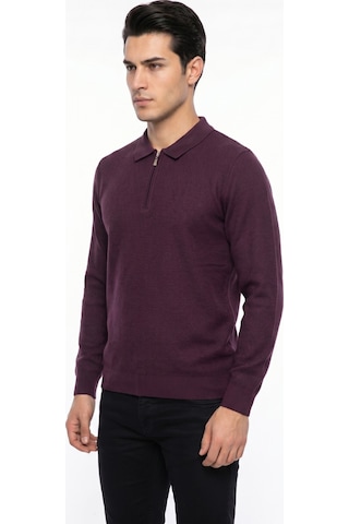 Foterman Erkek Spor Polo Yaka Mevsimlik Kazak Bgl-st05443 Mürdüm