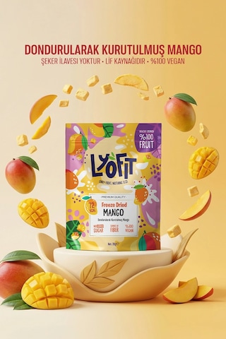 Lyofit Food Freeze Dried Mango 20 G