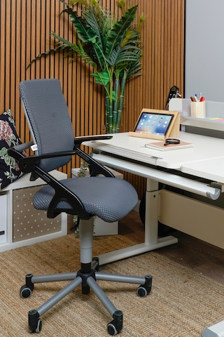 Creo Mobili Yükseklik Ve Sırt Ayarlı Vega Çalışma Sandalyesi Ofis Ve Bilgisayar Koltuğu Antrasit/gri Gri