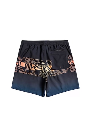 Quiksilver Everyday Wordblock 17 Erkek Yüzme Şortu 001