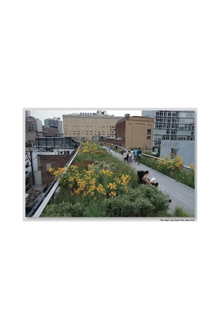 Thames And Hudson Piet Oudolf Landscapes In Landscapes 9780500289