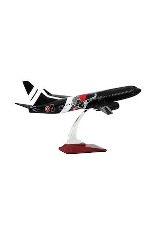 Zekupp Boeing 737-800 1/100 Ölçek Siyah Kartal Tasarımlı Maket Uçak