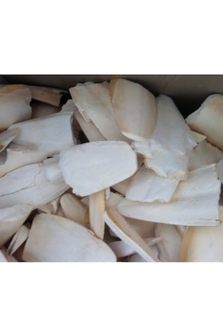 Purecanpati Kırıklı Iri Boy Kalamar Kemiği 100 G