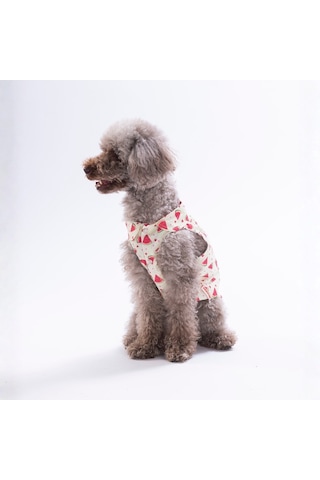 Berry Crush Meyve Desenli Kedi Köpek Gömleği-kedi Köpek Kıyafeti-kedi Gömlek-köpek Gömlek
