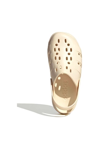 Adidas Adilette Platform Clogs Kadın Ekru Terlik Ekru