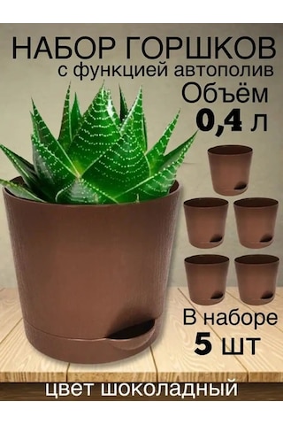 Interm Kaktüs Saksısı Minik Succulent, Menekşe Ve Çiçekler İçin Saksı 133193596