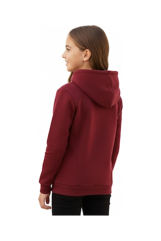 Kız Çocuk Bordo Kapüşonlu Cepli 3 İplik Sweatshirt Bgl-st04998 Bordo