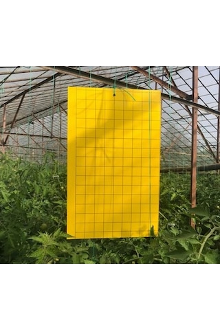 25 X 40 Cm Yapışkan Kareli Tuzak 10 Adet