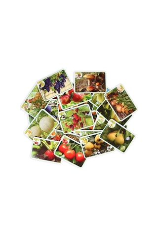 Diytoy Diy-Toy 3'Lü Hafıza Ve Flash Kartı