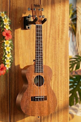 Midex Ct-24mt Set Concert Ukulele Çanta Askı Stand Metod Pena