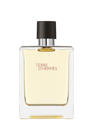 Hermes Terre D'Hermes Erkek Parfüm EDT 100 ML