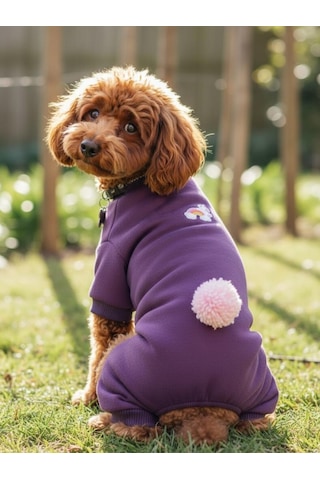 Pony Purple Ponpon Köpek Tulumu Şardonlu Polar Kumaş Küçük Irk Köpekler İçin Tüy Dökülmesini Mor L
