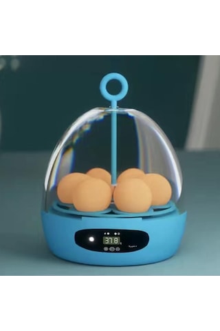Diğer Suntek Mini 6 Yumurta Kuluçka Makinesi Hatcher Usb-otomatik-mavi