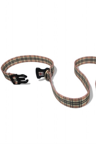 Caramelos Köpek Gezdirme Tasması, Bağlama Kilitli, Anti Shock Krem