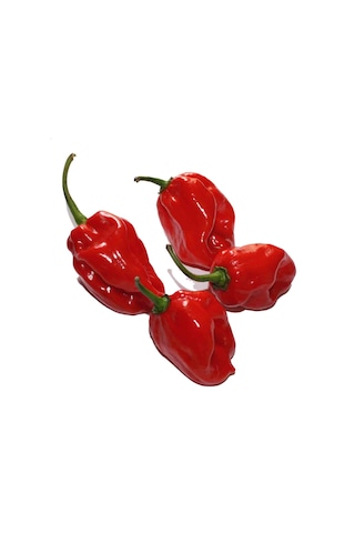 10+ Kırmızı Habanero Dünyanın En Acı Biber Tohumu N113193