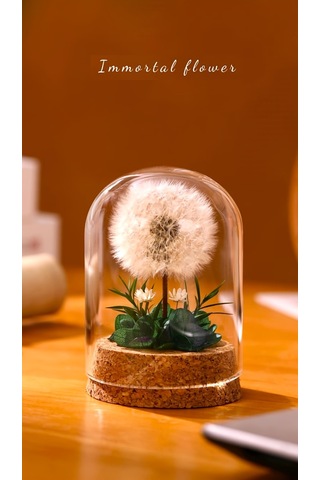 Mantar Tabanlı Sonsuz Karahindiba Cam Kubbe Süsü Yeşil