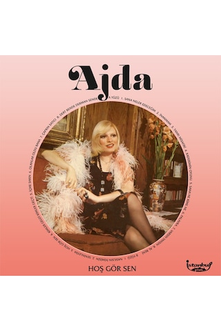 İstanbul Plak Ajda Pekkan Hoşgör Sen Plak