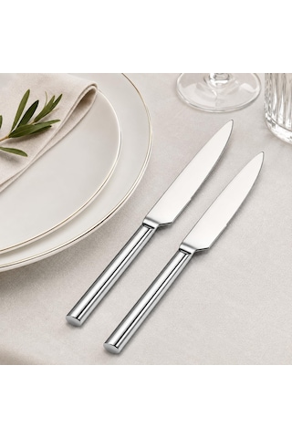 Yemek Bıçağı, 2'li Paslanmaz Çelik Bıçak Seti, Premium Kalite, Gümüş Metal 20 Cm, 2 Adet İçeren Set Çok Renkli