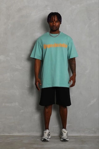 Vexor Erkek Baskılı T-shirt Kısa Kol Bisiklet Yaka Regular Fit Tişört - Mint Yeşili Çok Renkli