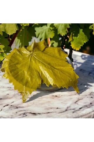 Ege'den Sultaniye Salamura Asma Yaprak Yeni Mahsul 5 Kh.bidon